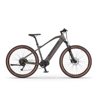 Horský ELEKTROBICYKEL ECOBIKE so STREDOVÝM pohonom. Ecobike SX 300 COOL GREY.vás vyvezie všade.